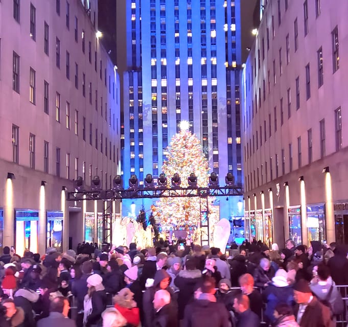 NYC: Christmas Lights Horse Carriage Ride - Saks Fifth Avenue and its light show