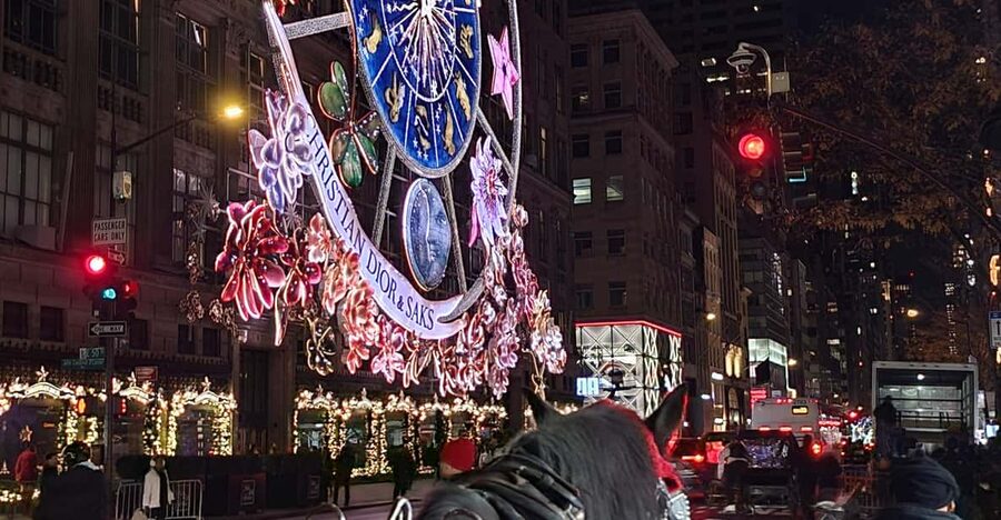 NYC: Christmas Lights Horse Carriage Ride - Rockefeller Center and the Christmas tree