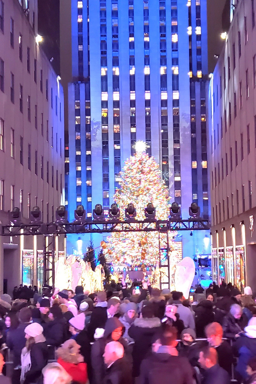 NYC: Christmas Lights Horse Carriage Ride - How the private format affects the experience
