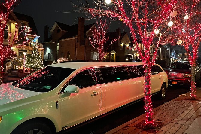 NYC Christmas Lights Tour by Limousine, SUV Or VAN. Dyker Heights - The Brooklyn Bridge photo stop