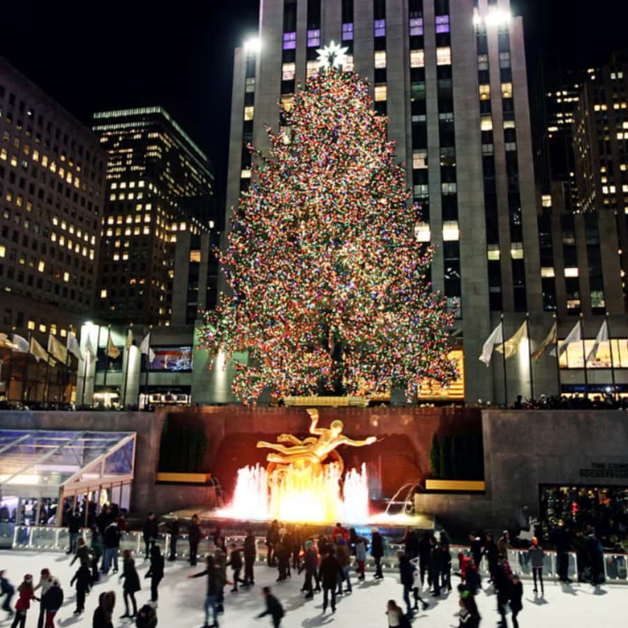 NYC Christmas Lights Tour: Heated Rickshaw Ride - How the private format affects the price