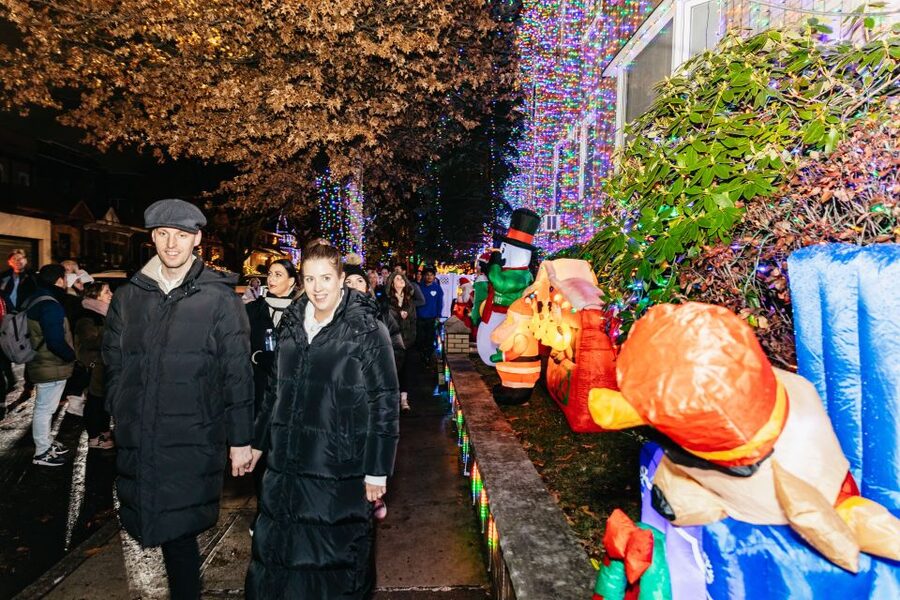 NYC: Dyker Heights Christmas Lights & Skyline View Bus Tour - Brooklyn Bridge Park and the Manhattan skyline