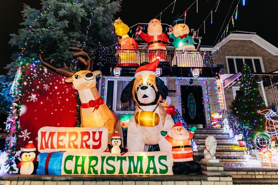 NYC: Dyker Heights Christmas Lights & Skyline View Bus Tour - Practical tips for a smoother evening