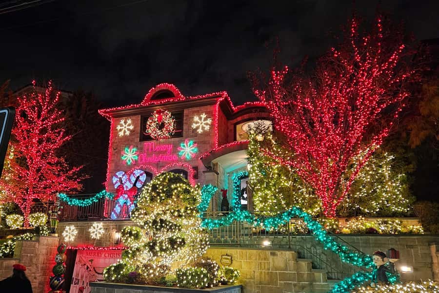 NYC: Dyker Heights Christmas Lights Tour with Hot Cocoa - Who will enjoy this Christmas outing?