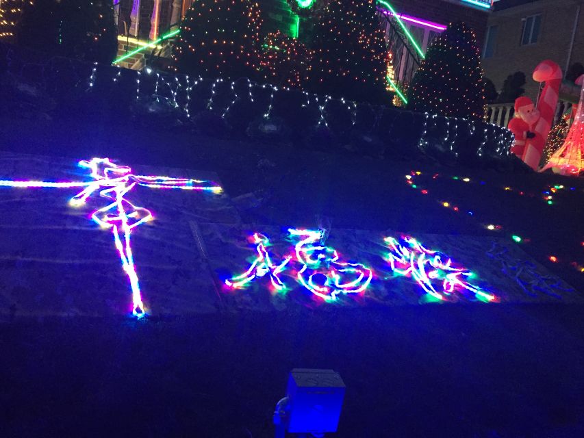 NYC | French guided tour of Christmas in Brooklyn - Brooklyn Bridge views at the right hour
