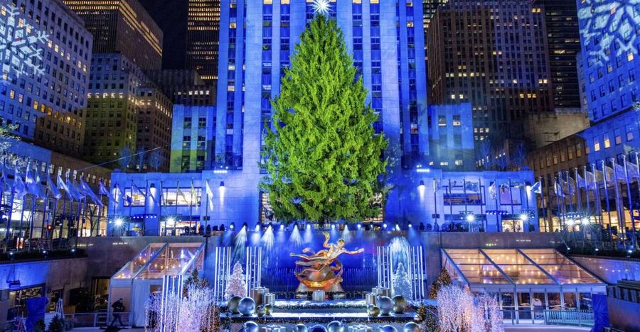 NYC: Magical Christmas Lights Carriage Ride - A horse carriage among New York’s brightest decorations