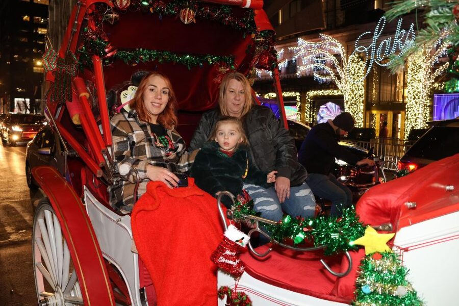 NYC: Magical Christmas Lights Carriage Ride - Should you book the Magical Christmas Lights Carriage Ride?