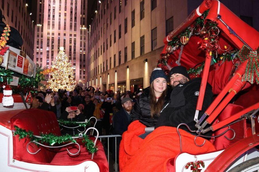 NYC: Magical Christmas Lights Carriage Ride - What the carriage provides in winter