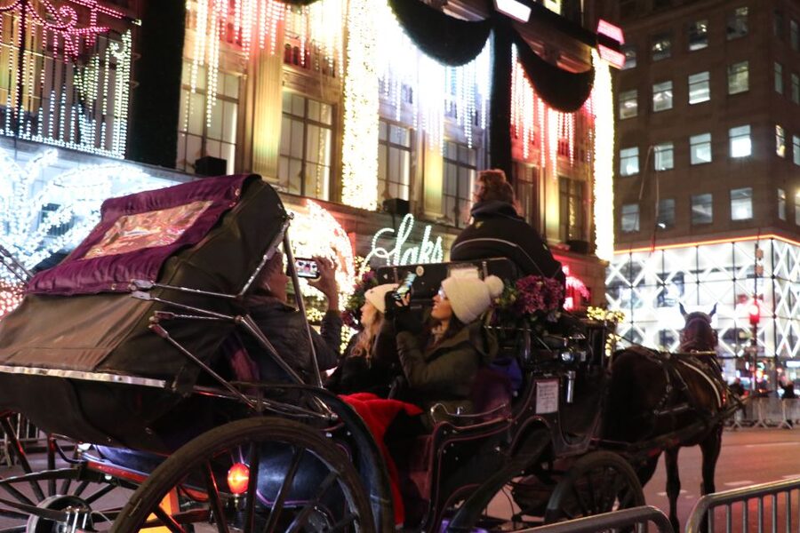 NYC: Magical Christmas Lights Carriage Ride - Is $415 good value for four people?