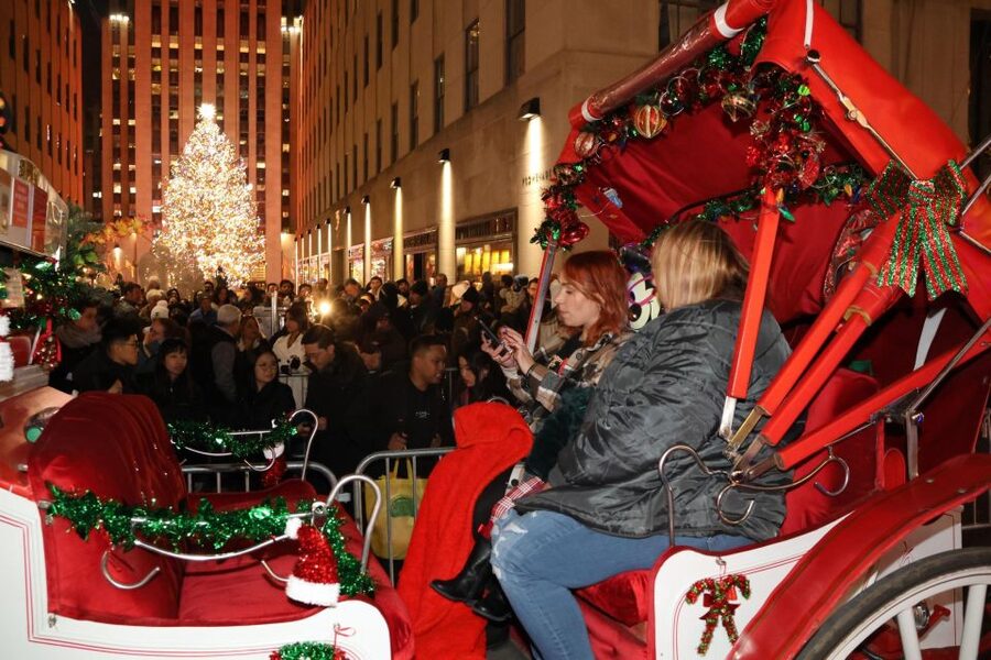 NYC: Magical Christmas Lights Carriage Ride - Who should book this ride?