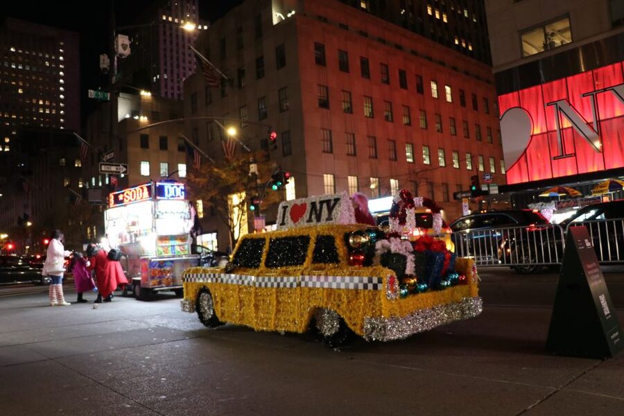 NYC: Magical Christmas Lights Carriage Ride - Booking details worth knowing