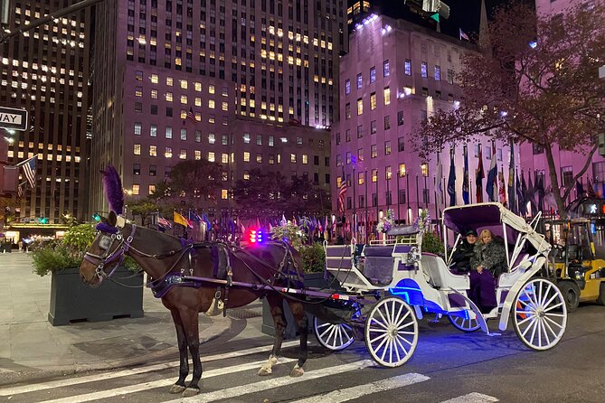 NYC : Magical Christmas Lights Private Horse Carriage Ride - Key points to know before you book