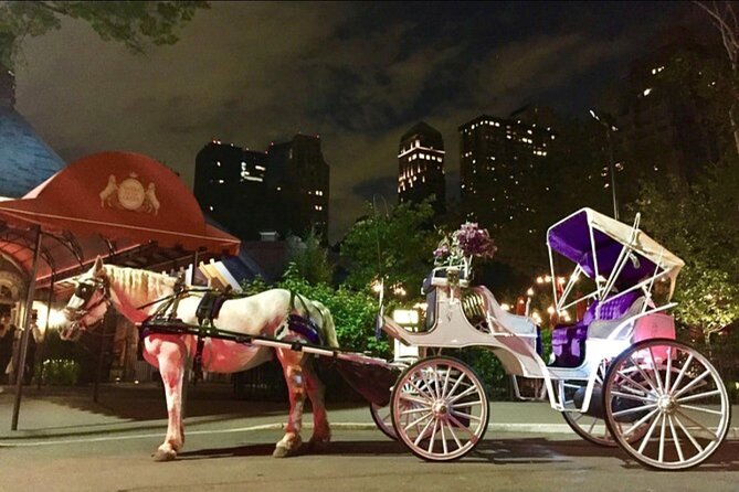 NYC : Magical Christmas Lights Private Horse Carriage Ride - Why this Christmas carriage ride works