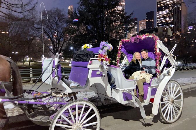 NYC : Magical Christmas Lights Private Horse Carriage Ride - The horse is part of the experience