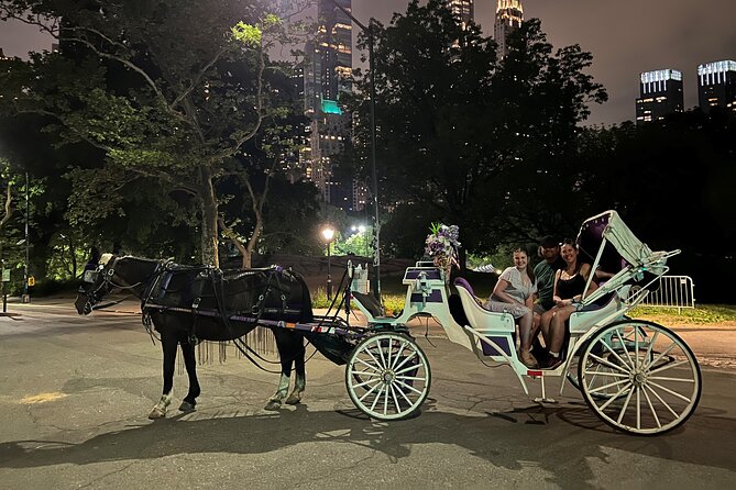 NYC : Magical Christmas Lights Private Horse Carriage Ride - Who will enjoy it most