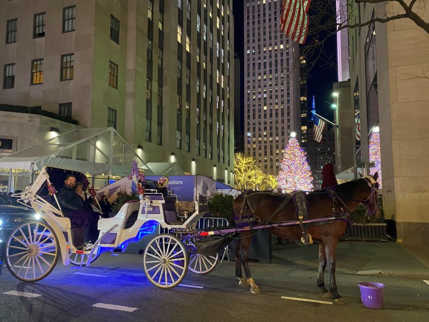NYC: Private Christmas Lights Horse Carriage Ride - A festive ride from Central Park South