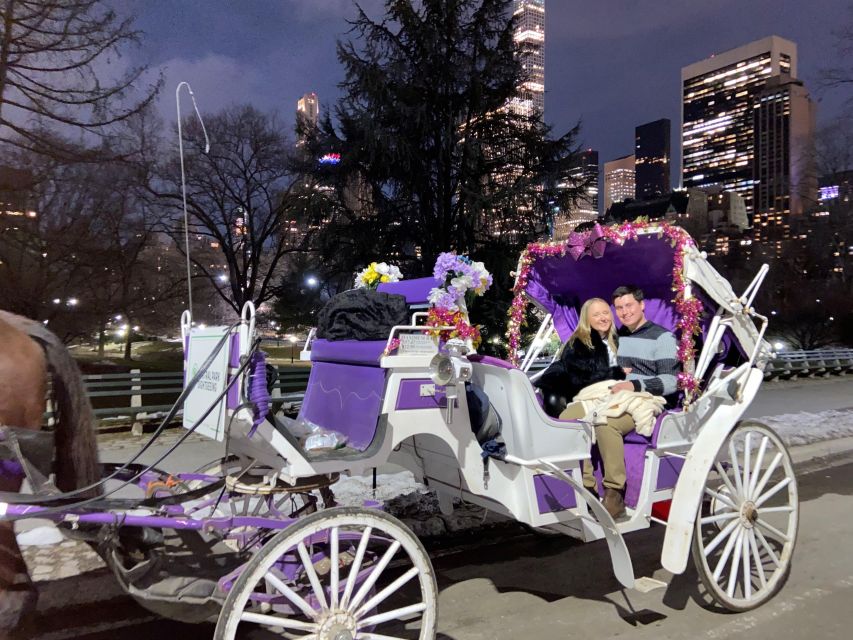 NYC: Private Christmas Lights Horse Carriage Ride - Why a private carriage changes the experience