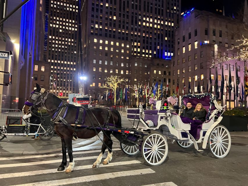 NYC: Private Christmas Lights Horse Carriage Ride - The guide makes the difference