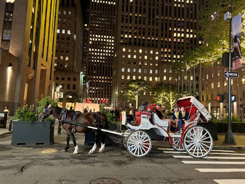 NYC: Private Christmas Lights Horse Carriage Ride - Who will enjoy this most