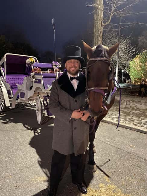 NYC: Private Christmas Lights Horse Carriage Ride - A short ride through Central Park