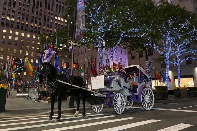 NYC Rockefeller Center Christmas Lights Horse Carriage Ride - The return route through Sixth Avenue or Madison Avenue