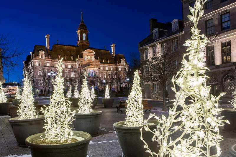 Old Montréal Small-Group Christmas Tour - Why Old Montréal Works So Well at Christmas
