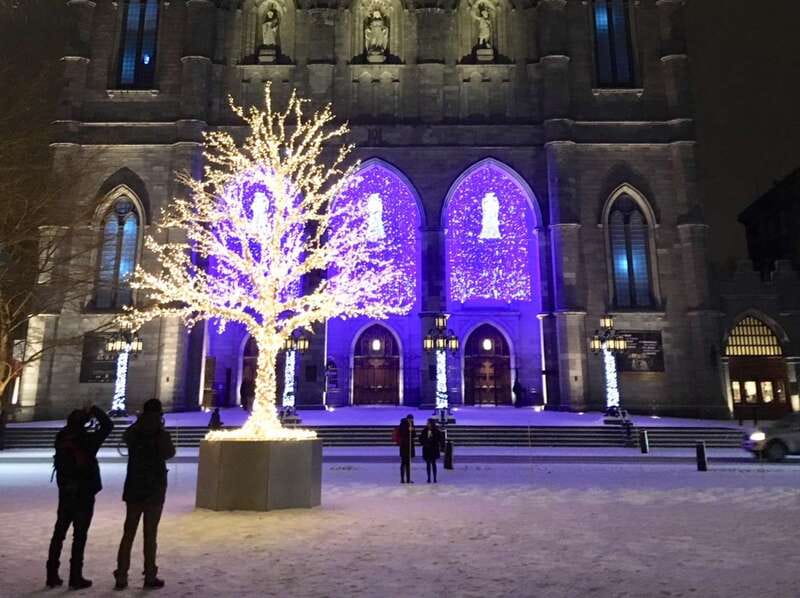 Old Montréal Small-Group Christmas Tour - Practical Details Before You Book