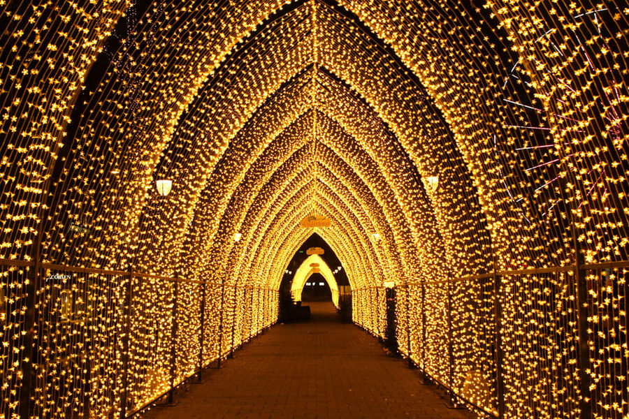 Oslo: 2-hour Christmas Private Walking Tour - A harbor-side start at the Nobel Peace Center