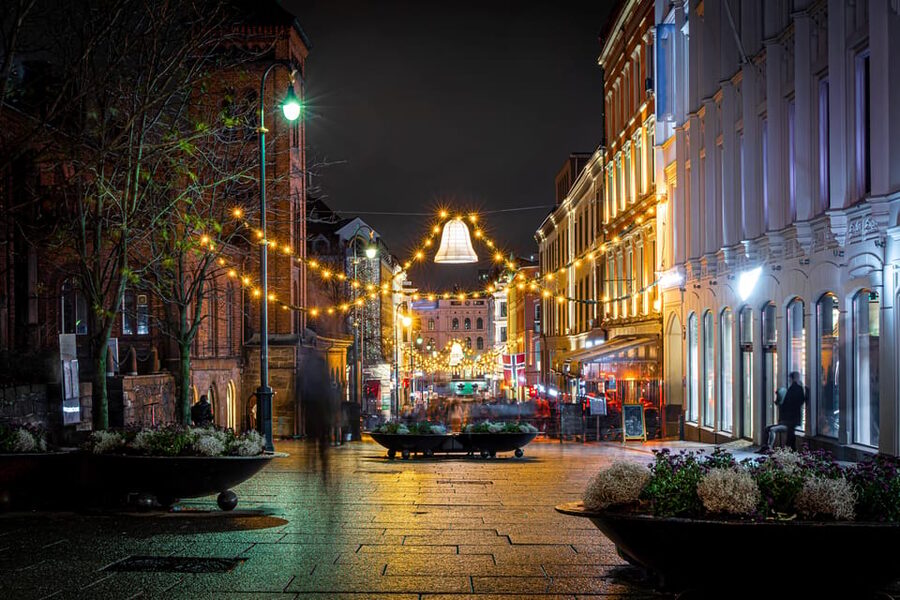 Oslo: 2-hour Christmas Private Walking Tour - Reaching the Royal Palace in winter