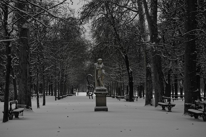 Paris Christmas Tour with a Local Guide: Custom & Private - Timing, walking, and the pace of the day