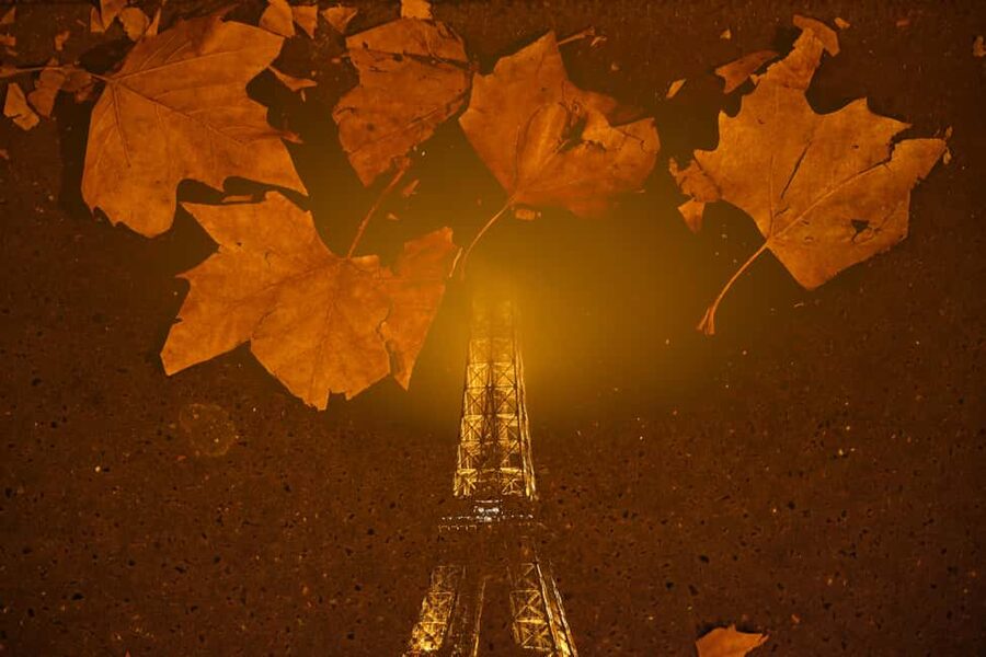 Paris: Experience the magic of Christmas on a walk with a pro photographer - What you receive after the walk