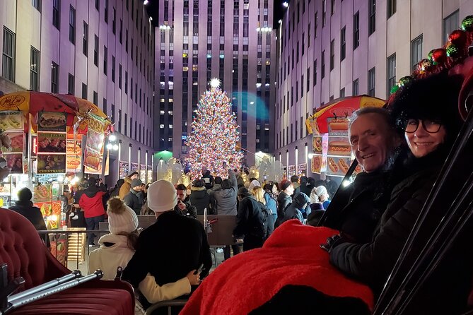 Private Christmas Lights Horse Carriage Tour In New York City - 5th Avenue window displays and the Plaza