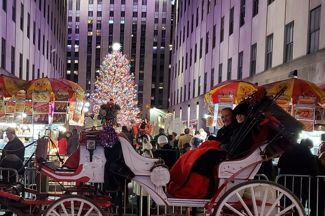 Private Christmas Lights Horse Carriage Tour In New York City - St. Patrick’s Cathedral and Bank of America Tower