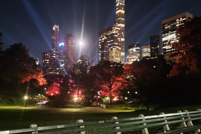 Private Christmas Lights Horse Carriage Tour In New York City - Radio City Music Hall and 6th Avenue