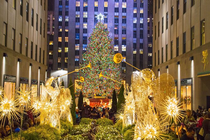 Private Christmas Lights Horse Carriage Tour In New York City - Tiffany, Trump Tower, and the Midtown holiday corridor