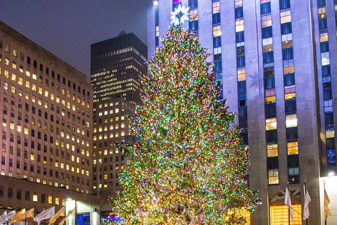 Private New York Christmas Tour with Driver and Guide - Madison Square Park and New York’s skyline views