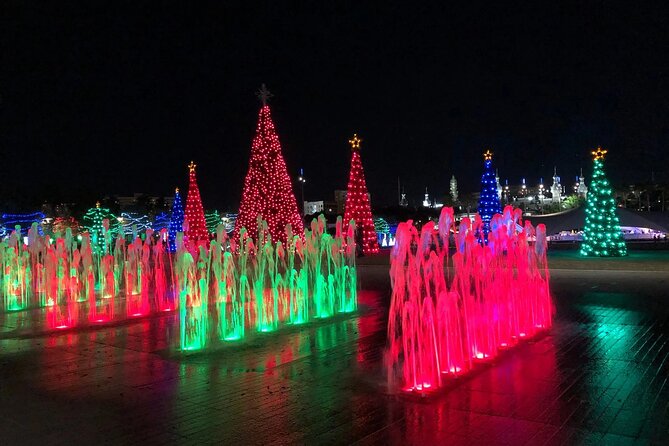 Private Tour to Christmas Winter Village, Bayshore and Hyde Park - Why a golf cart is a smart way to see Tampa at Christmas