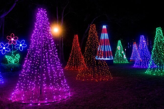 Private Tour to Christmas Winter Village, Bayshore and Hyde Park - Cruising Bayshore Boulevard beside Tampa Bay