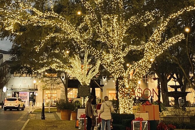 Private Tour to Christmas Winter Village, Bayshore and Hyde Park - Water Street’s Season Spectacular