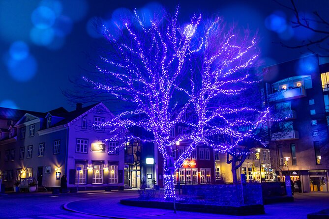 Reykjavik Christmas Walking Tour - Austurstræti and the Oslo Christmas Tree