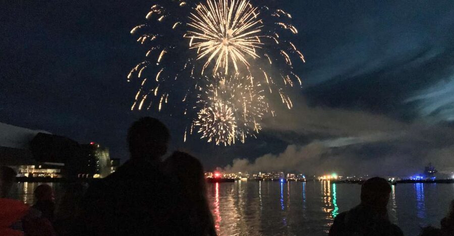 Reykjavik: New Year's Eve Fireworks Cruise - Faxaflói Bay and the fireworks panorama