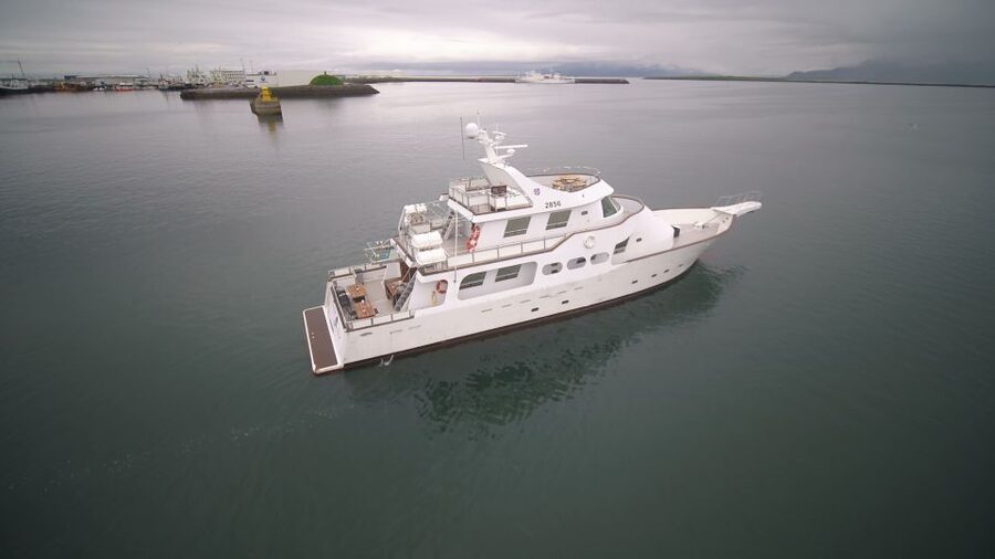 Reykjavik: New Years Fireworks Midnight Cruise - Should you book the Amelia Rose?