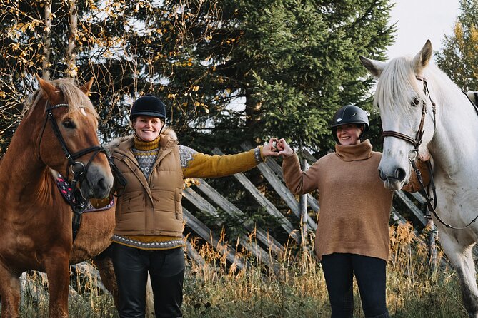 Riding Tour with Finnhorses at Santa Claus Village - Meeting the Finnhorses before the ride