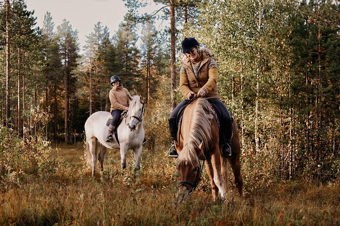 Riding Tour with Finnhorses at Santa Claus Village - Is $126.03 a fair price for one hour?