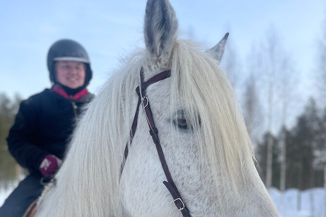 Riding Tour with Finnhorses at Santa Claus Village - Riding through the forest at the least experienced pace