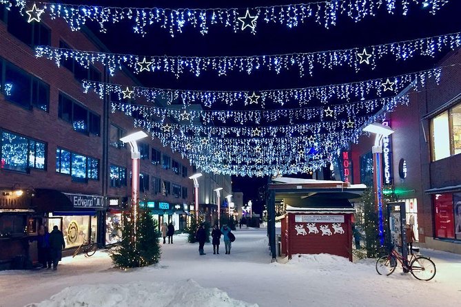 Rovaniemi Guided Tour and Santa Claus Village - Is the $130.97 price fair?