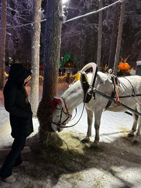 Rovaniemi: Guided Tour of Santa Claus Village - Meeting at the Arctic Circle Information desk