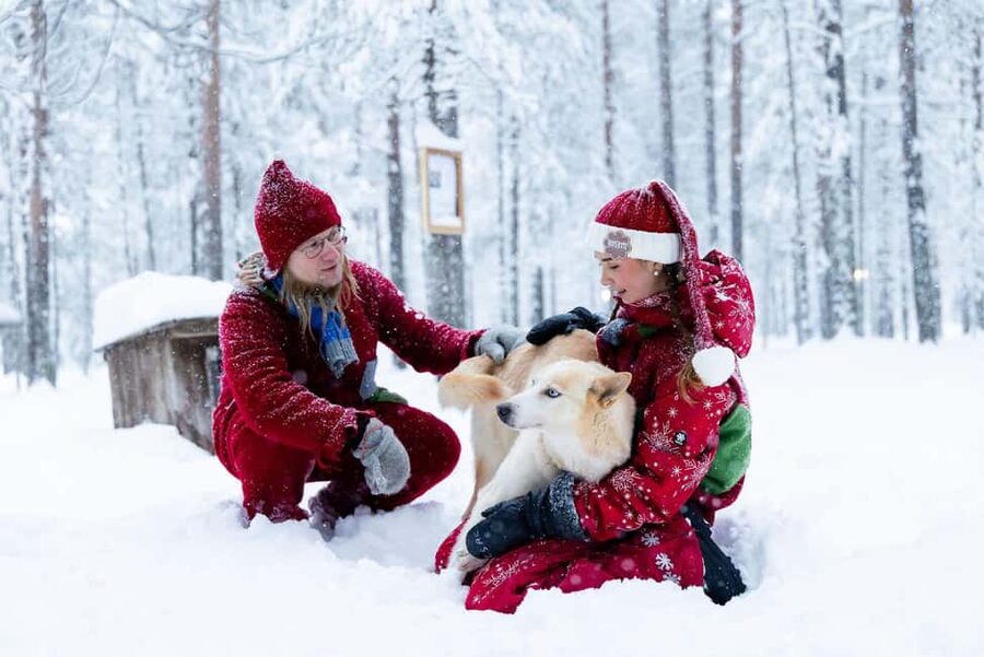 Rovaniemi: Meet Santa's Most Trusted Husky Dogs - Key points at a glance