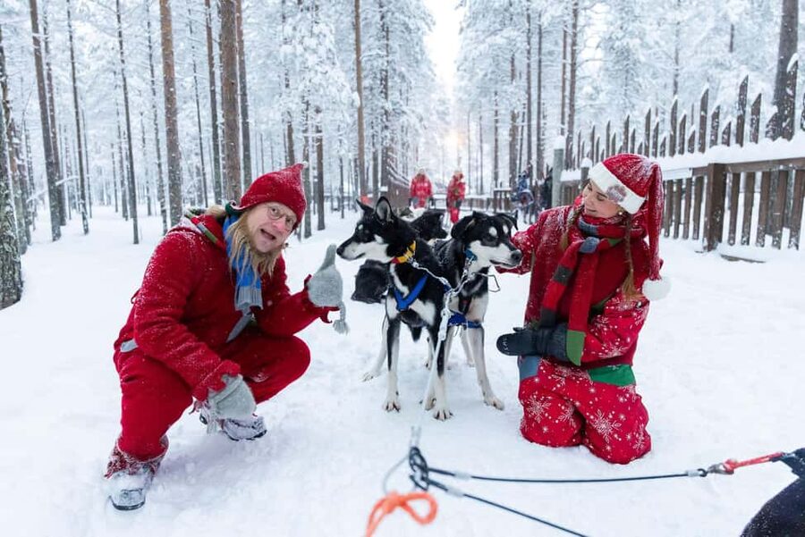 Rovaniemi: Meet Santa's Most Trusted Husky Dogs - Meeting Santa’s huskies in Rovaniemi