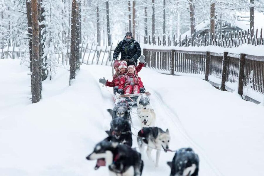 Rovaniemi: Meet Santa's Most Trusted Husky Dogs - What happens during the 1.5-hour program